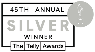 Telly 2024 - Silver